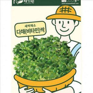 수경재배 새싹 채소 씨앗 어린잎 다채 씨앗 가정용 샐러드 텃밭