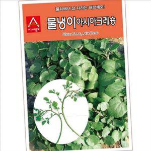 수경재배 물냉이 씨앗 허브 아시아 크레숑 씨앗 재배용 텃밭 파종