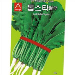 부드러운 열무 씨앗 쌈열무 열무 무종자 20g 텃밭 가을