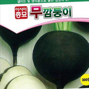 샐러드용 무 씨앗 유기농 무종자 재배용 텃밭 채소
