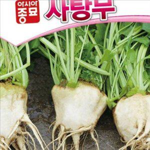 농업용 사탕무 씨앗 100 립 재배용 사탕무 종자 텃밭 작물