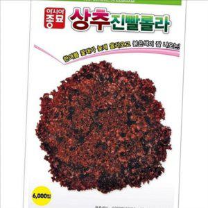 유기농 상추 씨앗 립씨앗 진빨 롤라 상추 6000 텃밭 가정용