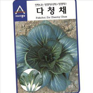 가정용 청경채 씨앗 재배용 청경채 종자 텃밭 단맛 시설 채소