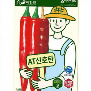 바이러스 고추 씨앗 탄저병 고추 종자 대과종 신호탄 다수확 재배용