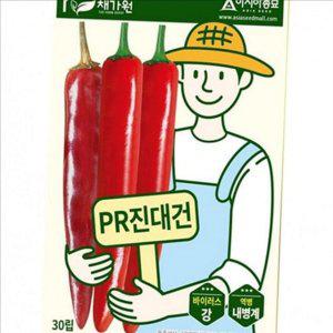 내병계 고추 종자 30 립 역병 pr 진대 건 고추씨