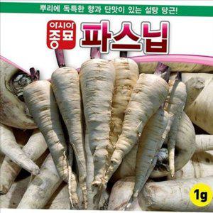 수프용 파스닙 씨앗 서양 설탕 당근 씨앗 텃밭 채소 재배