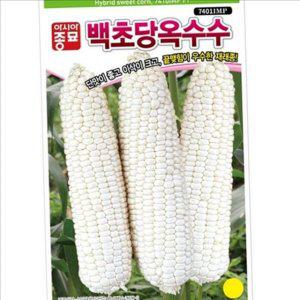 재배용 백초당 초당옥수수 씨앗 농업용 백초당 초당옥수수 종자 옥수수 텃밭
