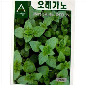 향기로운 오레가노 씨앗 박하 오레가노 종자 허브 텃밭 약용 채소
