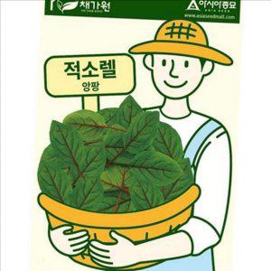 가정용 적소렐 씨앗 텃밭용 적소렐 종자 샐러드 허브 채소 실내