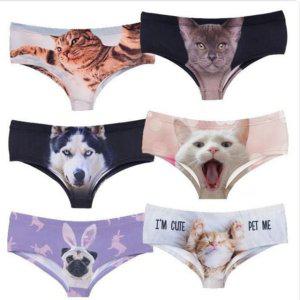 웃긴 드로즈 고양이팬티 고양이 팬티 선물용 삼각 여성 속옷