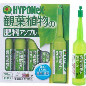 수경재배 식물 영양제 식물 비료 관엽 영양 액상 35ml 10p