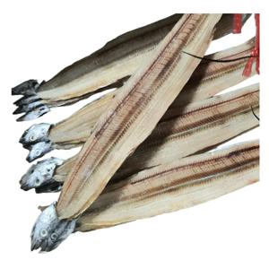 미식가들이 찾는 국내산 건갈치,풀치 1kg (9미)