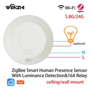 ZigBee/WiFi MmWave 레이더 조명 스위치 광도 감지용 인체 존재 모션 센서 110/220V Tuya Smart Life Home