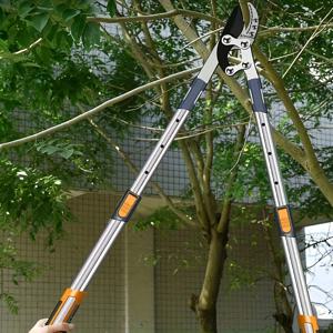 두꺼운 가지용 중형 전지가위 - 전문가급 강철, 인체공학적 손잡이, 정원 가꾸기용 날카로운 절단 도구.