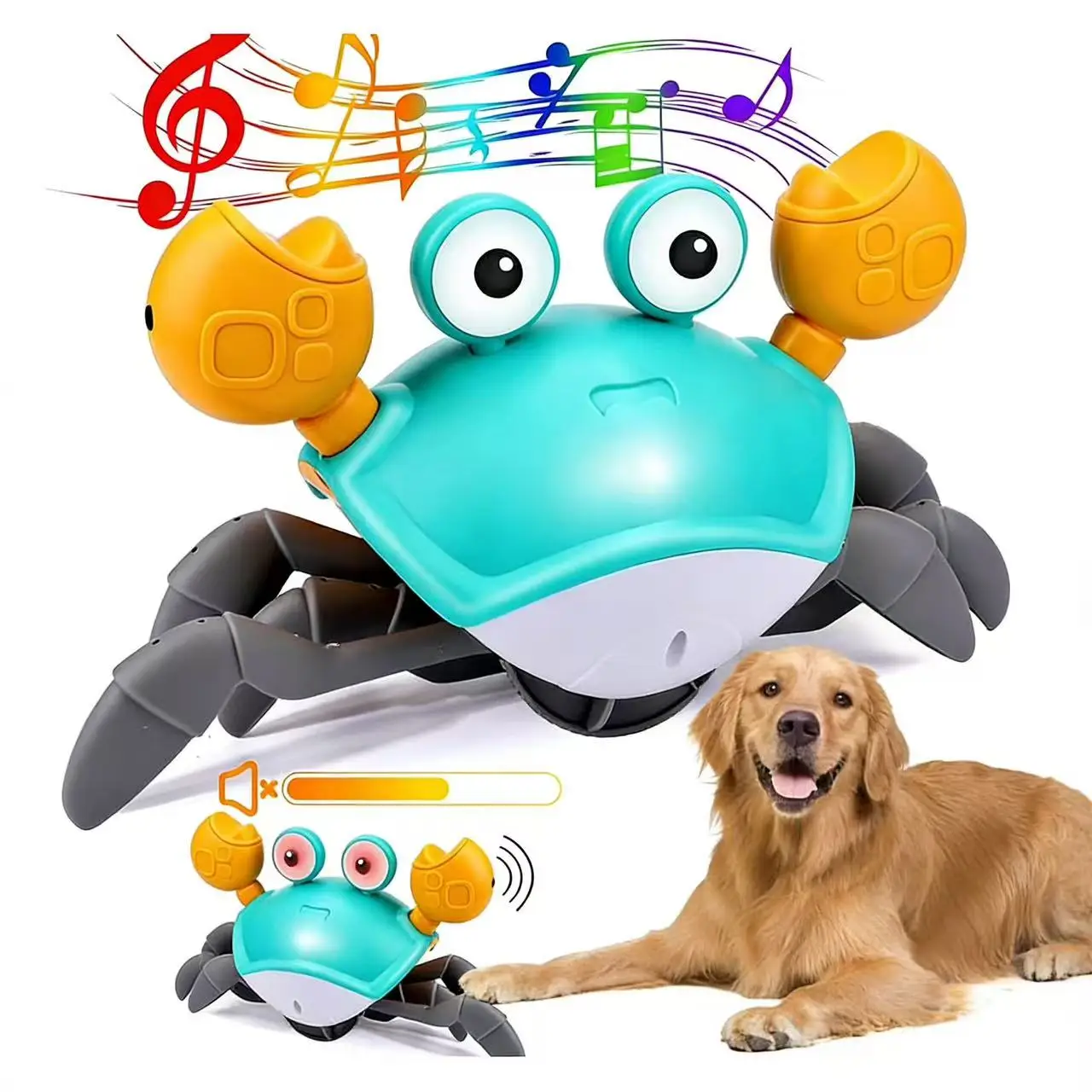 크롤링 크랩 아기 장난감, 음악이 나오는 인터랙티브 유아용 터미타임 크랩, 유아용 걷고 춤추는 크랩, 재미있는 생일 선물