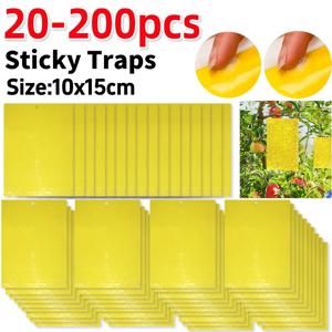 200Pcs 곤충 트랩은 식물 트랩을 보호합니다. 무독성 끈적 접시 트랩 강력한 접착 방수 양면 끈적 트랩