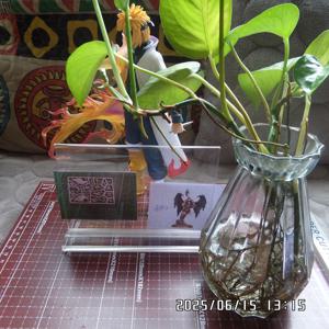 3.23 주문 9종 B160 B176 B187 B189 B196 B207 모델 맞춤 제작