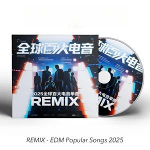 글로벌 EDM 리믹스 히트 탑 100 DJ 빌보드 베이스 부스트 카 무손실 음악 CD 디스크