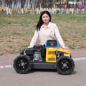 맞춤형 CE 유로 V 인증 소형 원격 제어 로봇 잔디깎이, 농장 정리용 신형 잔디 관리 기계