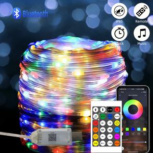 WS2812B 블루투스 LED 스트링 요정 조명 드림컬러 RGBIC DIY 파티 축제 트리 조명 웨딩 장식 가랜드 USB 램프