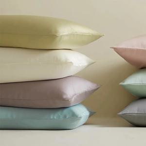 100% 천연 뽕나무 실크 베개 커버 봉투 베개 커버 건강한 표준 솔리드 멀티 컬러 22 Momme