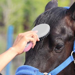 말의 갈기와 꼬리 청소용 브러쉬, 둥근 모양의 부드러운 고무 손잡이, 바늘모 브러쉬, 스테이블 클리닝 키트, 말 관리용 브러쉬, 말 브러쉬