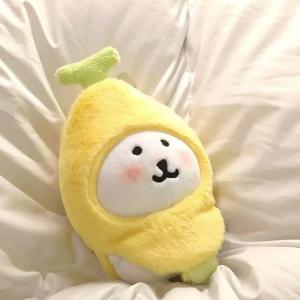 인기 급상승 중인 편안한 곰 인형 머리장식 면 인형 귀여운 자조식 곰 인형 옷장식용