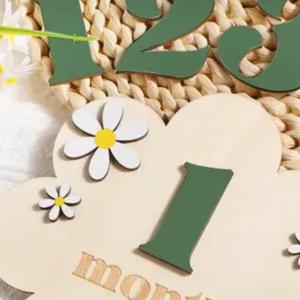 나무 아기 월별 성장 카드 꽃 양면 숫자 월 소녀 소년 신생아 사진 소품 액세서리