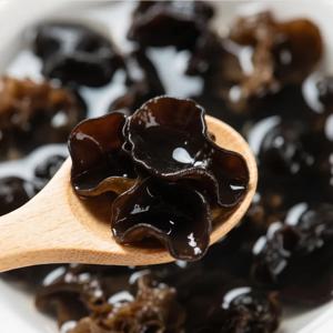 1kg 무농약 건목이버섯H8 마라탕 마라샹궈 짬뽕 잡채볶음 무침