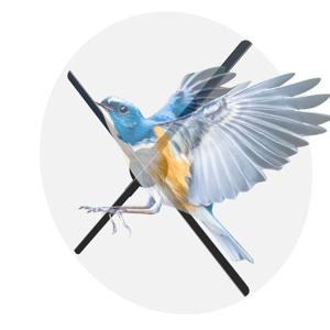 도매 HD 해상도 80cm 홀로그램 프로젝터 홀로그램 팬 3D 홀로그램 장비 (시장용)