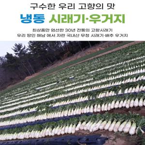 삶은 시래기 10kg 무청시래기 부드러운 감자탕용 업소용