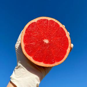 레드자몽 3과 5과 10과 프리미엄 자몽