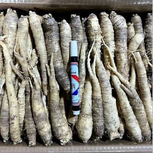 깐더덕 피더덕 500g 1kg 수입산