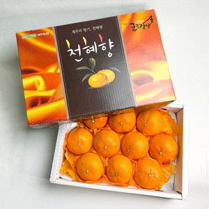 [제주위미농협] 고당도 천혜향 선물박스 5kg (10-25과)