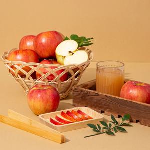 [더조은] 알뜰 꿀사과 부사사과 8kg 꼬마과 (60-66과)
