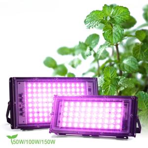 LED 성장 빛 50W 100W 150W AC 220V 식물 램프 전체 스펙트럼 LED 투광 조명 실내 식물 수경 온실 성장 조명