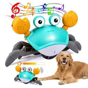 크롤링 크랩 아기 장난감, 음악이 나오는 인터랙티브 유아용 터미타임 크랩, 유아용 걷고 춤추는 크랩, 재미있는 생일 선물