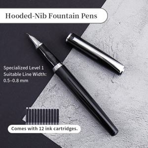 12개의 잉크 카트리지가 포함된 부드러운 플렉스 닙 캘리그래피 만년필 – 예술, 글쓰기 및 캘리그래피에 적합