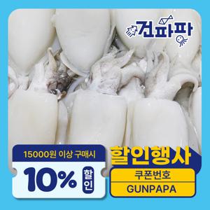 깨끗하게 손질된 냉동 갑오징어 특대 1kg (약 2미 ~ 3미)