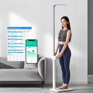 고품질 신장 체중 체지방 측정 스마트 체중계 전문 체성분 피트니스 체중계 디지털 체중계