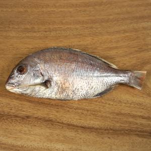 국내산 손질 반건조 참돔 1미(400g)