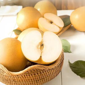 달콤아삭한 가정용 배 2 ~ 5kg 구성별 선택