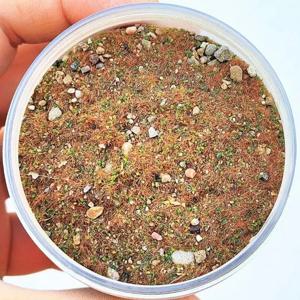 1.058온스/봉지 DIY 모델 석재 잔디 가루 혼합, 잔디밭 시뮬레이션, 모래 테이블 미니어처 풍경 배치용 석재 식물