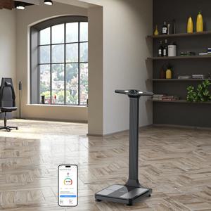 신형 180KG 개인용 스마트 체중계 WIFI 체성분 분석기 LED 디스플레이 IOS 안드로이드 앱 호환 OEM 지원