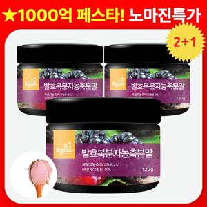 [2+1행사] 발효 복분자 농축 분말 가루 120g X 3개 고창산 복분자 마시는 피로회복 복분자차 고창산