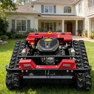 맞춤형 원격 제어 크롤러형 잔디깎이, 모든 지형 잔디 절단기, 농장 과수원 정원용 EPA 인증