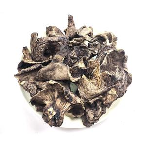 100g 자연산 특A급 건능이버섯