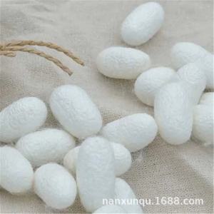 프리미엄 품질 천연 뽕나무 누에고치 코쿤, 공장 직공급, 실크 릴링 및 충전용 건조 코쿤