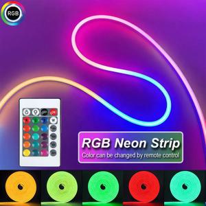 RGB 네온 LED 스트립 조명 USB 5V 스트립 IP65 방수 제어 LED 유연 다이오드 장식 홈 거실 장식 조명
