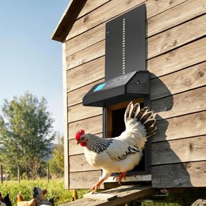 타이머 및 LCD 디스플레이가 있는 자동 닭장 문 열림 장치 - 견고한 알루미늄 구조, 안티 핀치 안전 기능, 간편한 설치